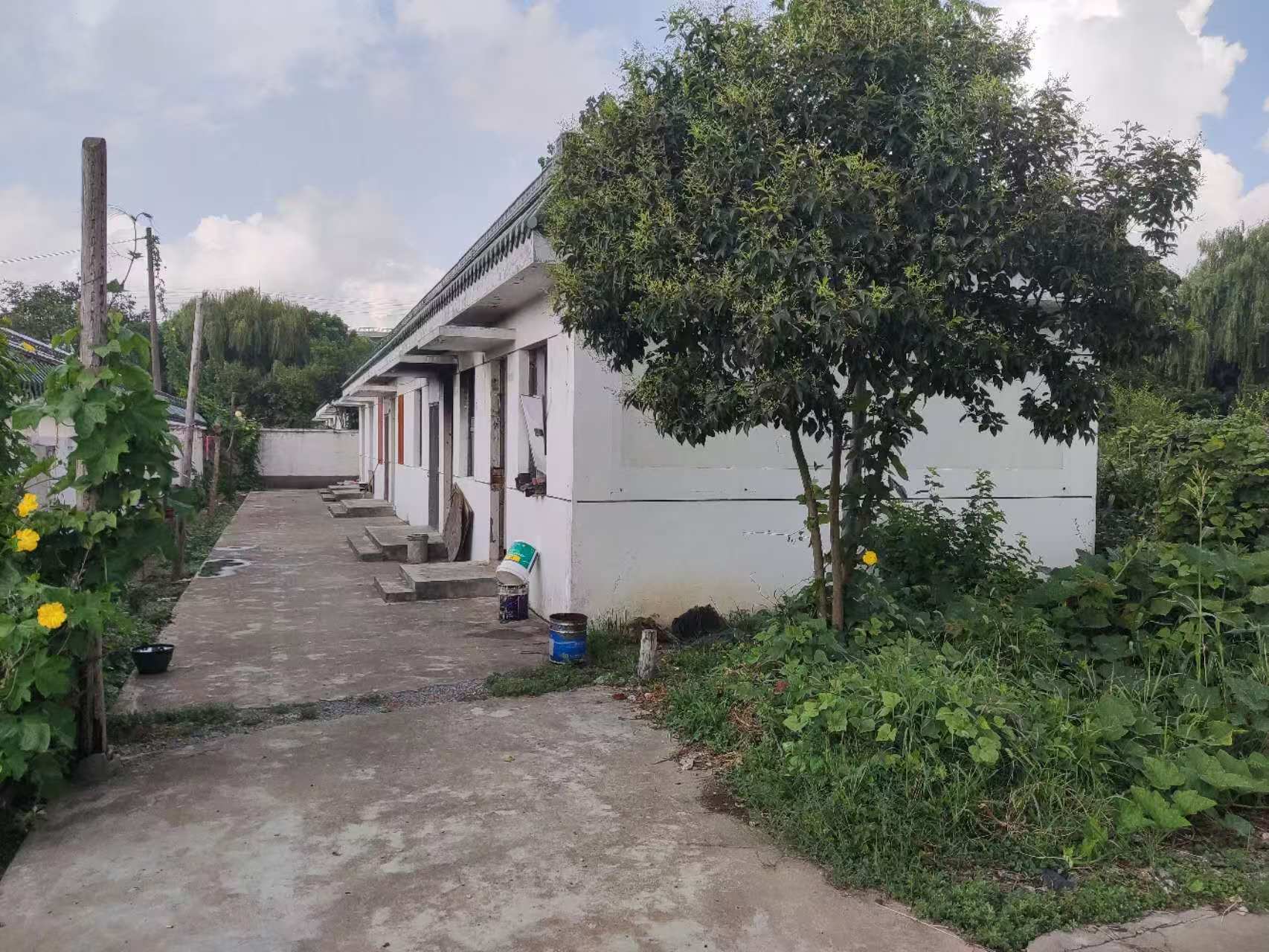 东侧小院2.jpg 东侧小院2.jpg